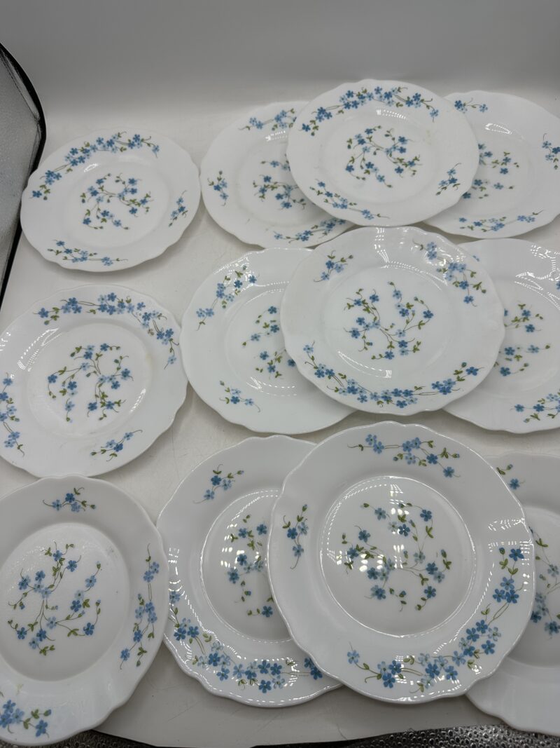 Service 12 assiettes à dessert Arcopal fleuries – Image 5