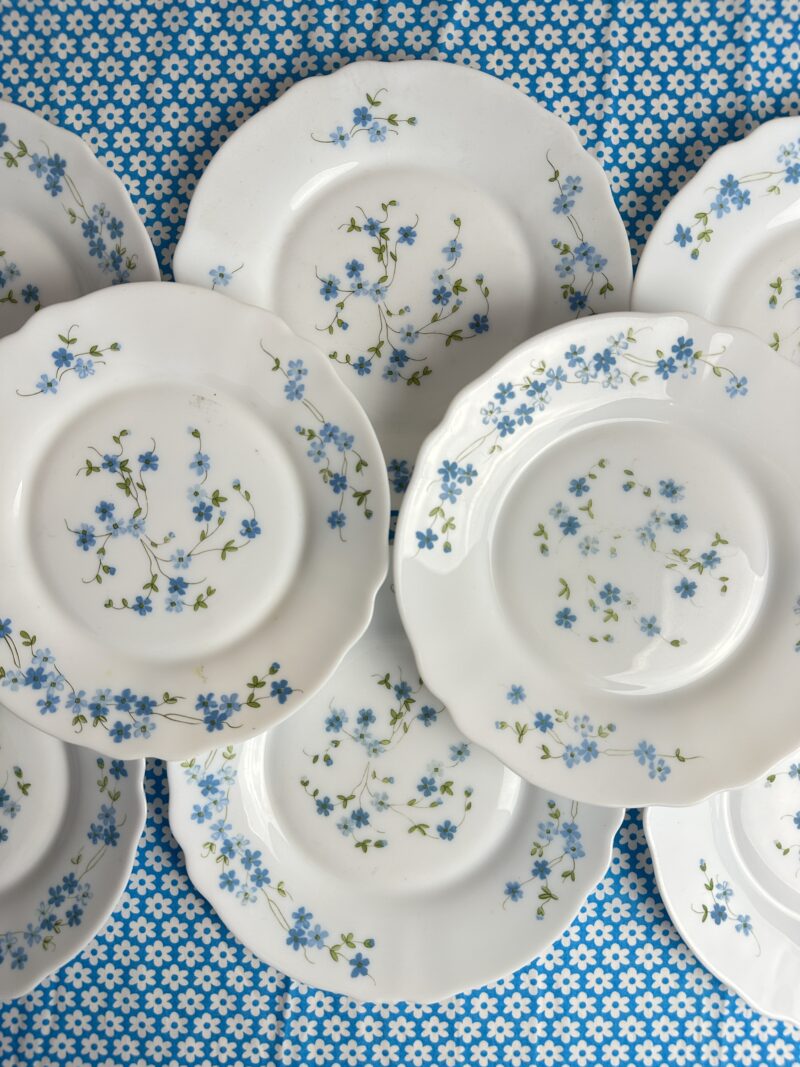 Service 12 assiettes à dessert Arcopal fleuries