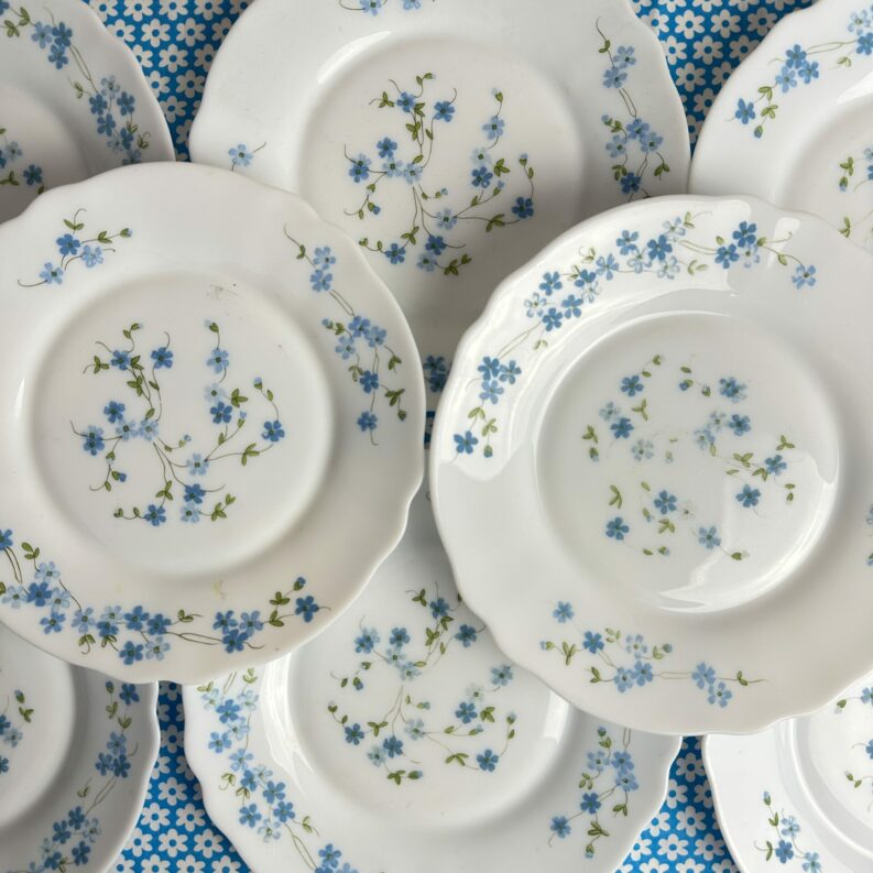 Service 12 assiettes à dessert Arcopal Myosotis fleuries