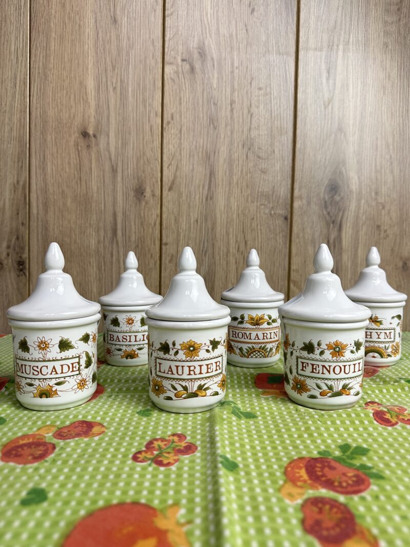 Ensemble 6 pots à épices Décor Moustiers GF