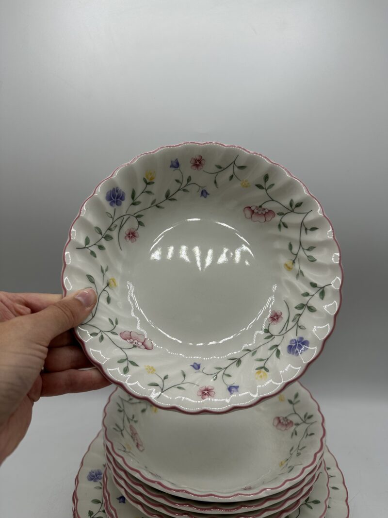 Ensemble 15 assiettes anciennes Johnson Brothers – Image 3