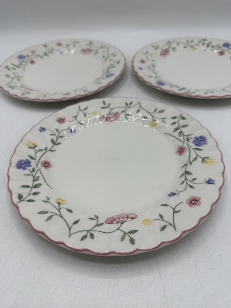 Ensemble 15 assiettes anciennes Johnson Brothers – Image 9
