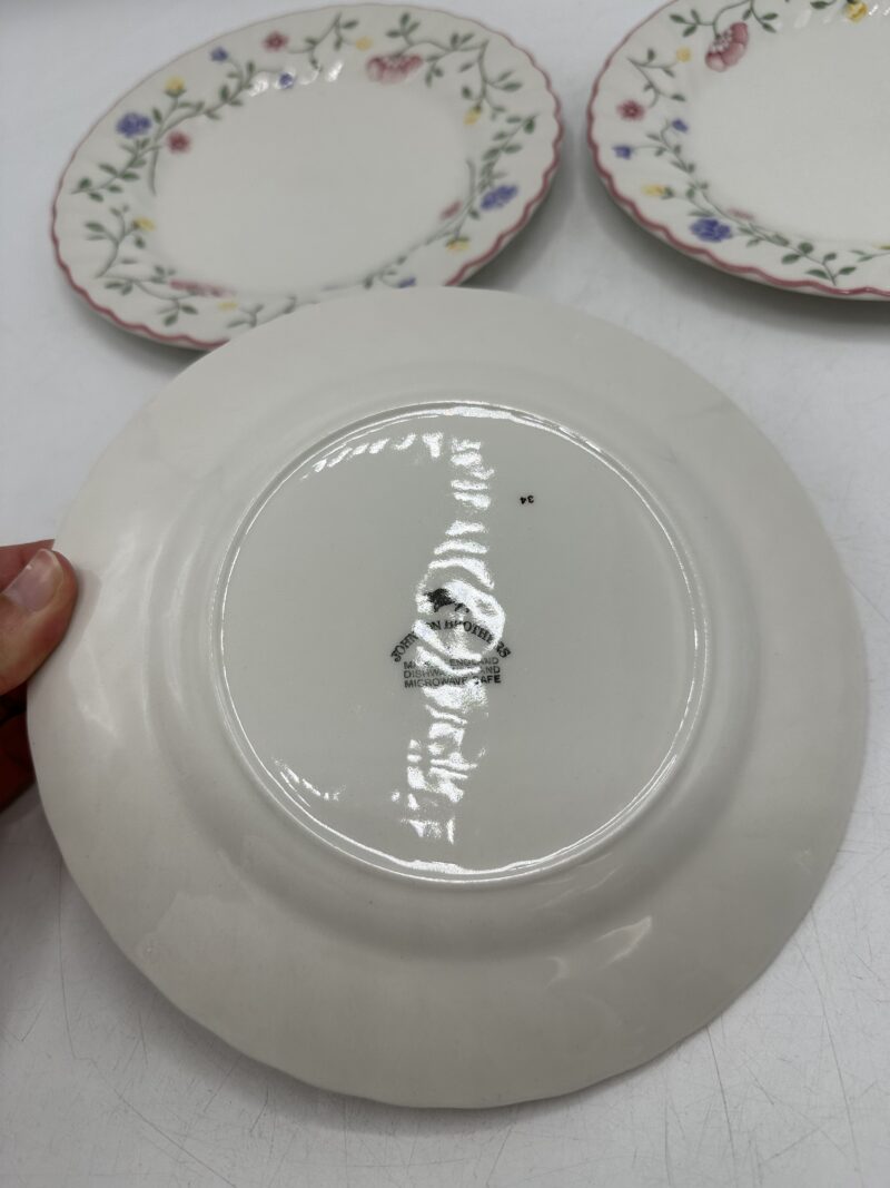 Ensemble 15 assiettes anciennes Johnson Brothers – Image 11
