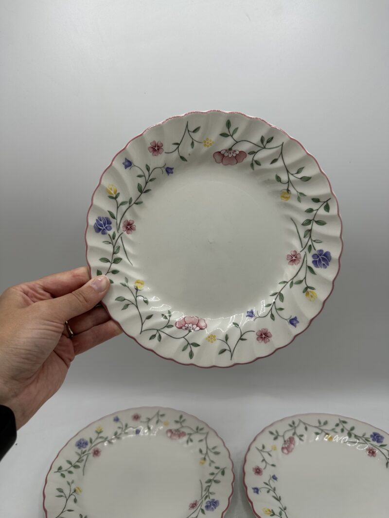 Ensemble 15 assiettes anciennes Johnson Brothers – Image 12