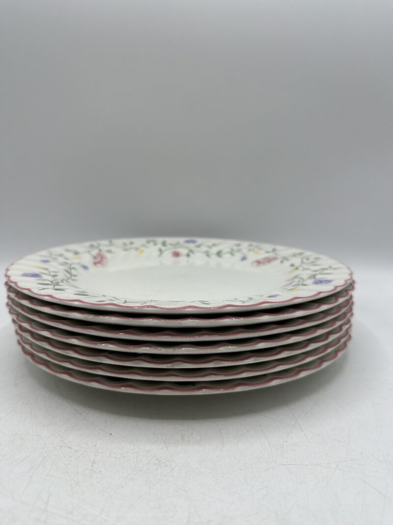 Ensemble 15 assiettes anciennes Johnson Brothers – Image 13