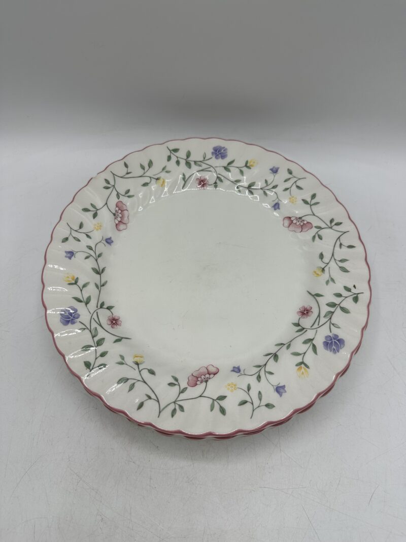 Ensemble 15 assiettes anciennes Johnson Brothers – Image 14