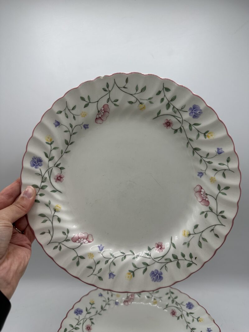 Ensemble 15 assiettes anciennes Johnson Brothers – Image 15