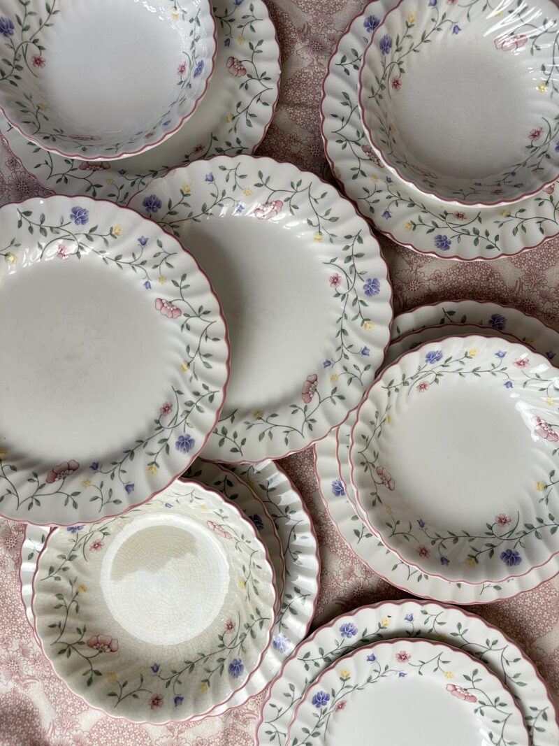 Ensemble 15 assiettes anciennes Johnson Brothers