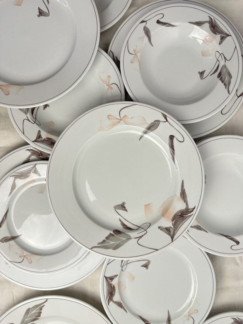 Service 18 assiettes Sarreguemines Cannelle
