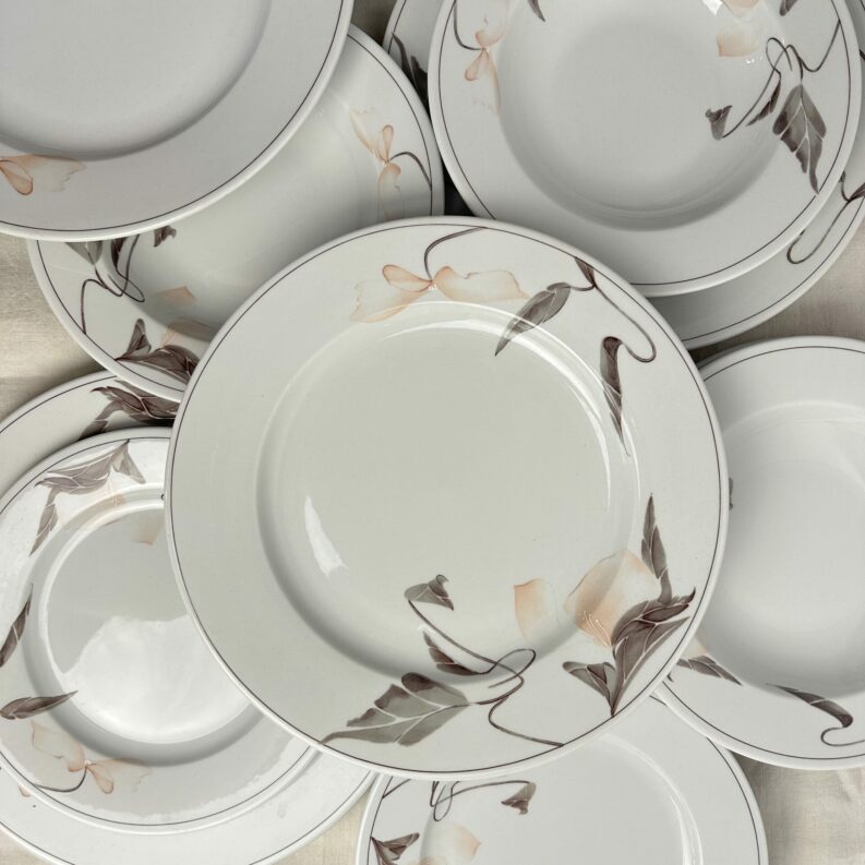 Service 18 assiettes Sarreguemines Cannelle