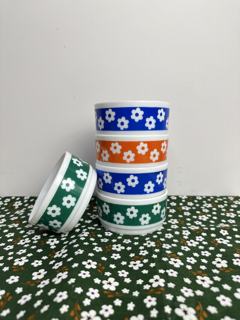 Ensemble 5 ramequins arcopal flowers pop