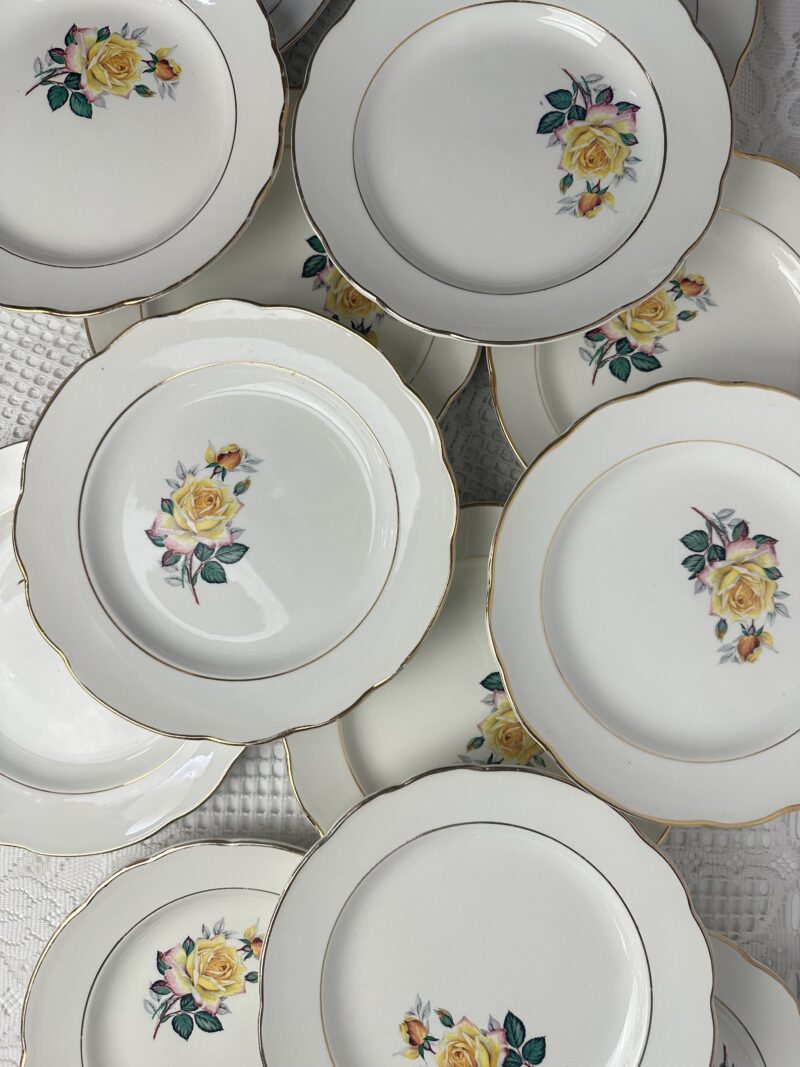 Ensemble 13 assiettes anciennes Gien Gardanne