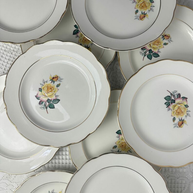 Ensemble 13 assiettes anciennes Gien Gardanne