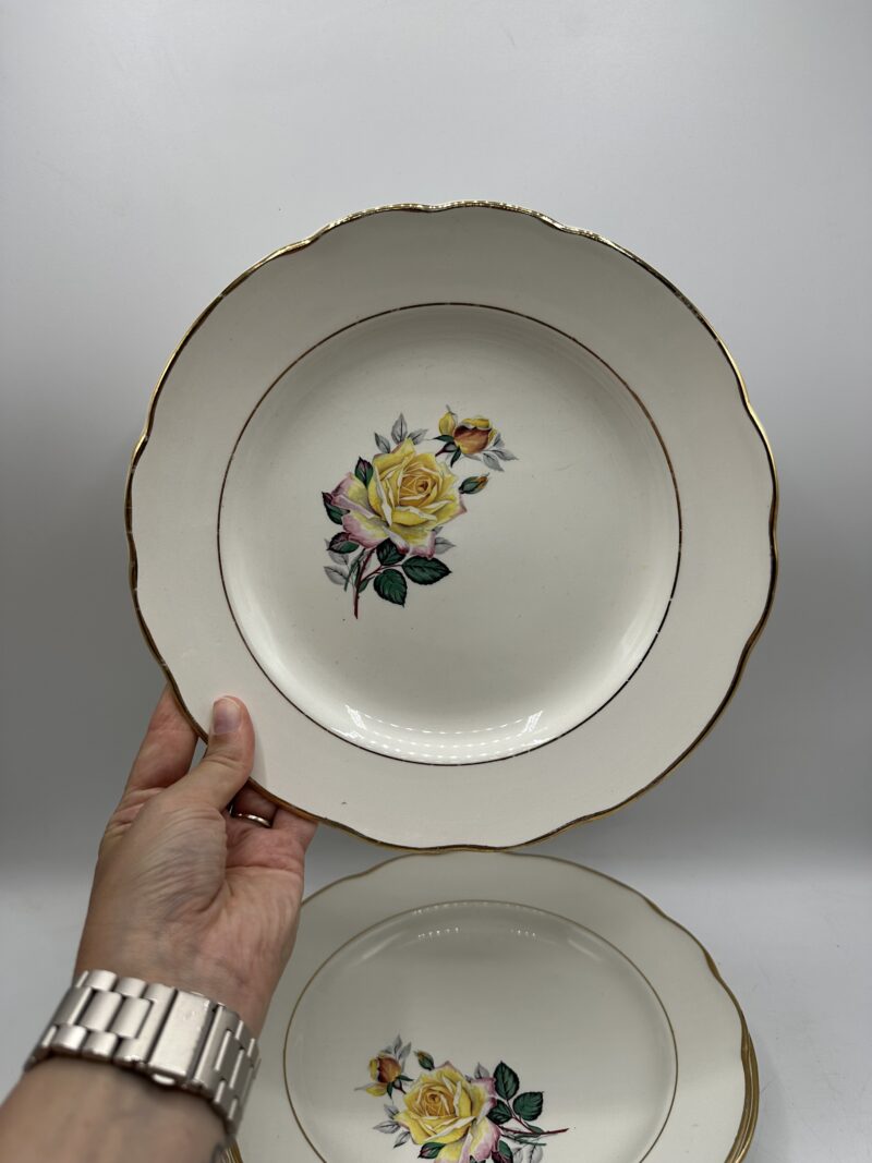 Ensemble 13 assiettes anciennes Gien Gardanne – Image 4