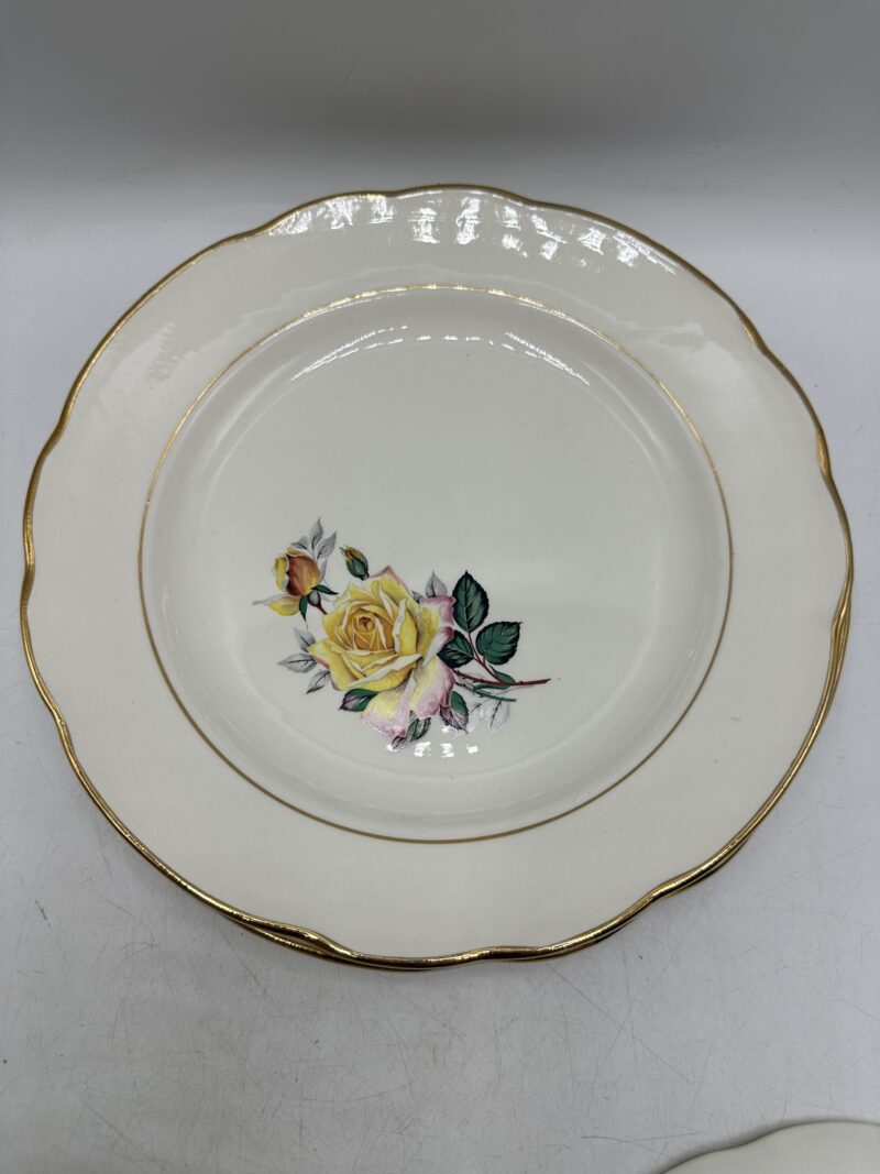 Ensemble 13 assiettes anciennes Gien Gardanne – Image 6