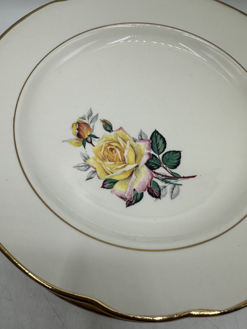 Ensemble 13 assiettes anciennes Gien Gardanne – Image 7