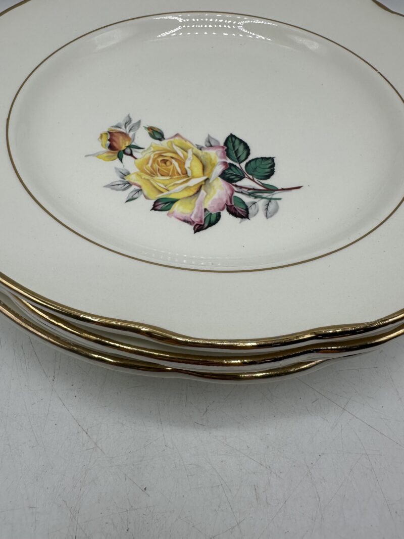 Ensemble 13 assiettes anciennes Gien Gardanne – Image 8
