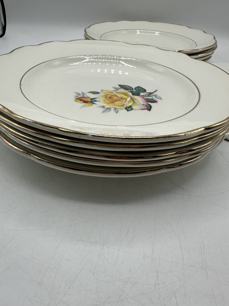 Ensemble 13 assiettes anciennes Gien Gardanne – Image 10
