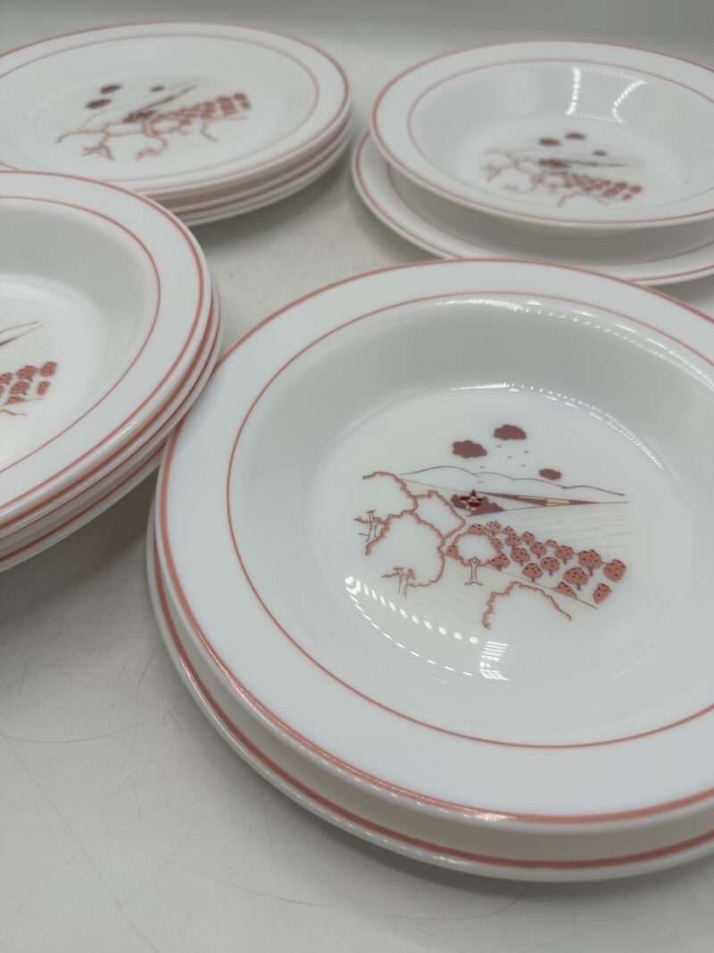 Service 14 assiettes Arcopal champêtre – Image 12