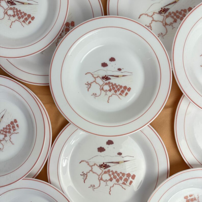 Service 14 assiettes Arcopal champêtre