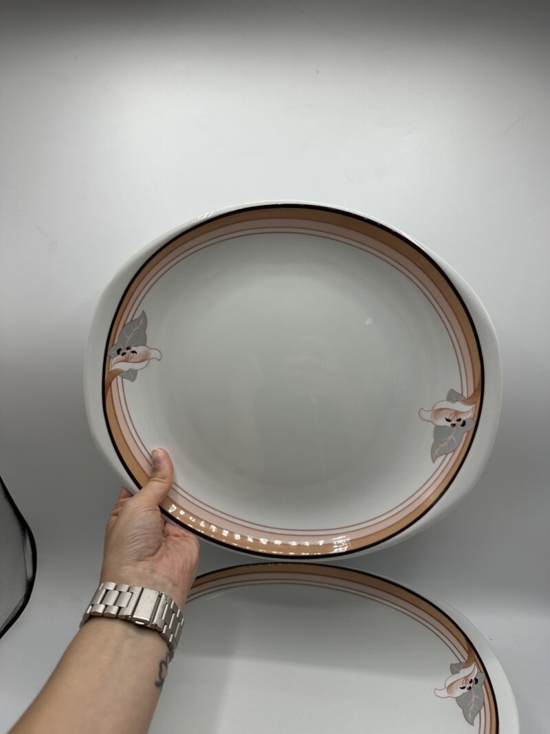 Lot de 8 assiettes vintage Saturnia Sarreguemines – Image 5