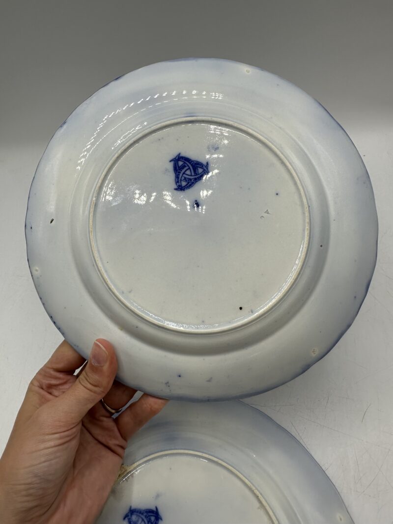 Duo d’assiettes anciennes J.Vieillard D. Johnston – Image 11