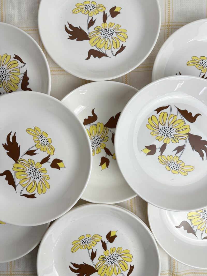 Ensemble 11 assiettes creuses Sovirel France vintage fleurs jaunes