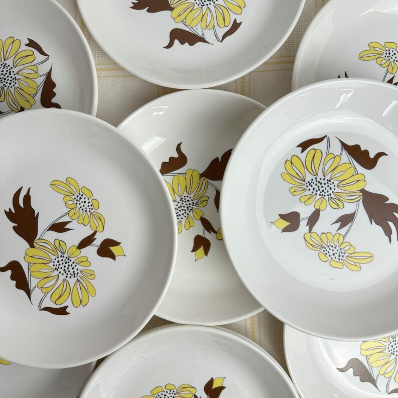 Ensemble 11 assiettes creuses Sovirel France vintage fleurs jaunes