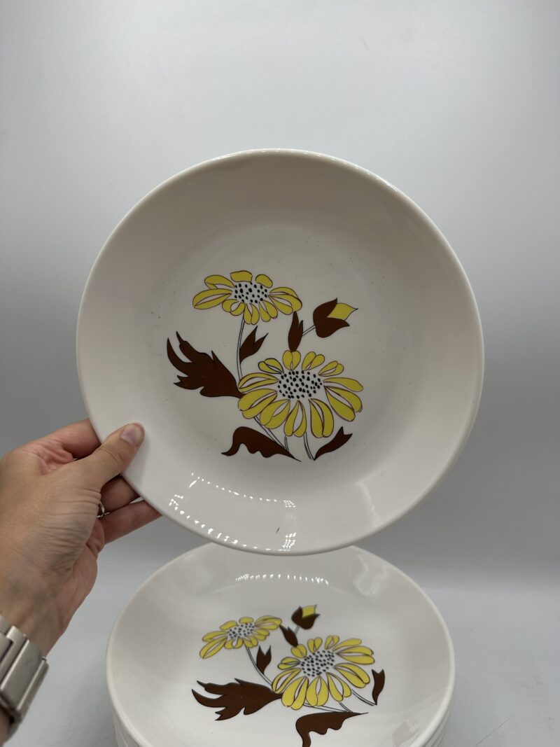 Ensemble 11 assiettes creuses Sovirel France vintage fleurs jaunes – Image 5
