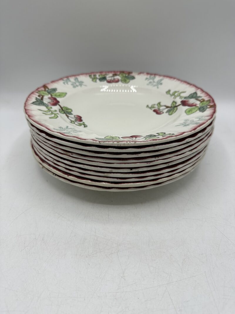 Lot de 10 assiettes anciennes creuses Longwy Montmorency – Image 2