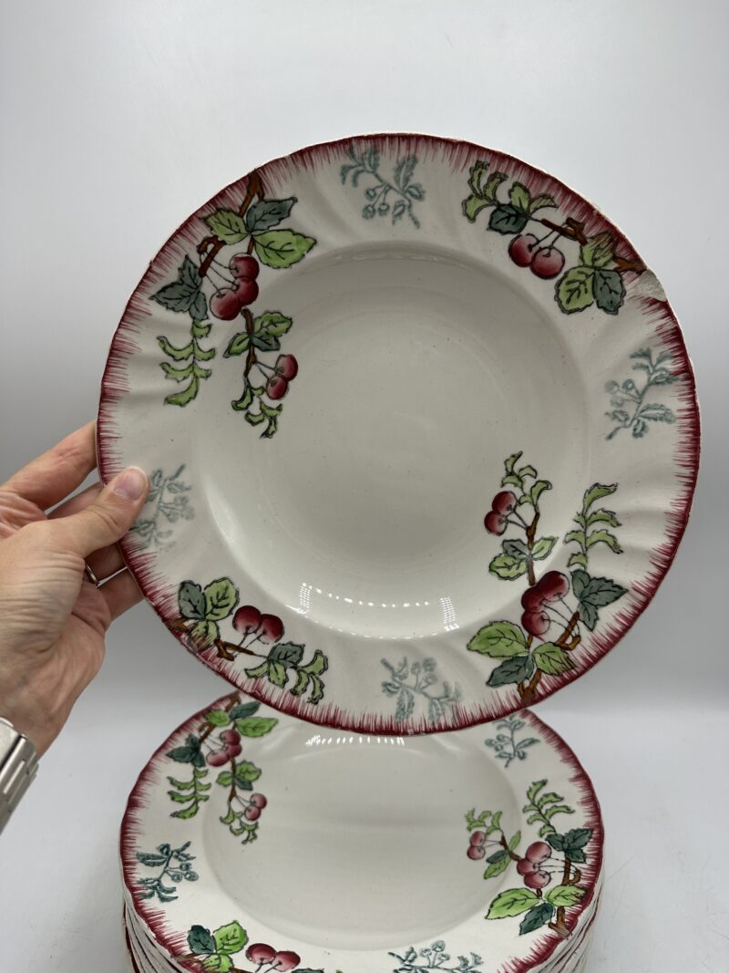 Lot de 10 assiettes anciennes creuses Longwy Montmorency – Image 4