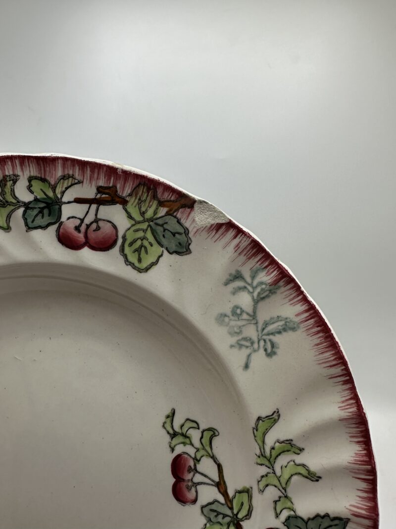 Lot de 10 assiettes anciennes creuses Longwy Montmorency – Image 5
