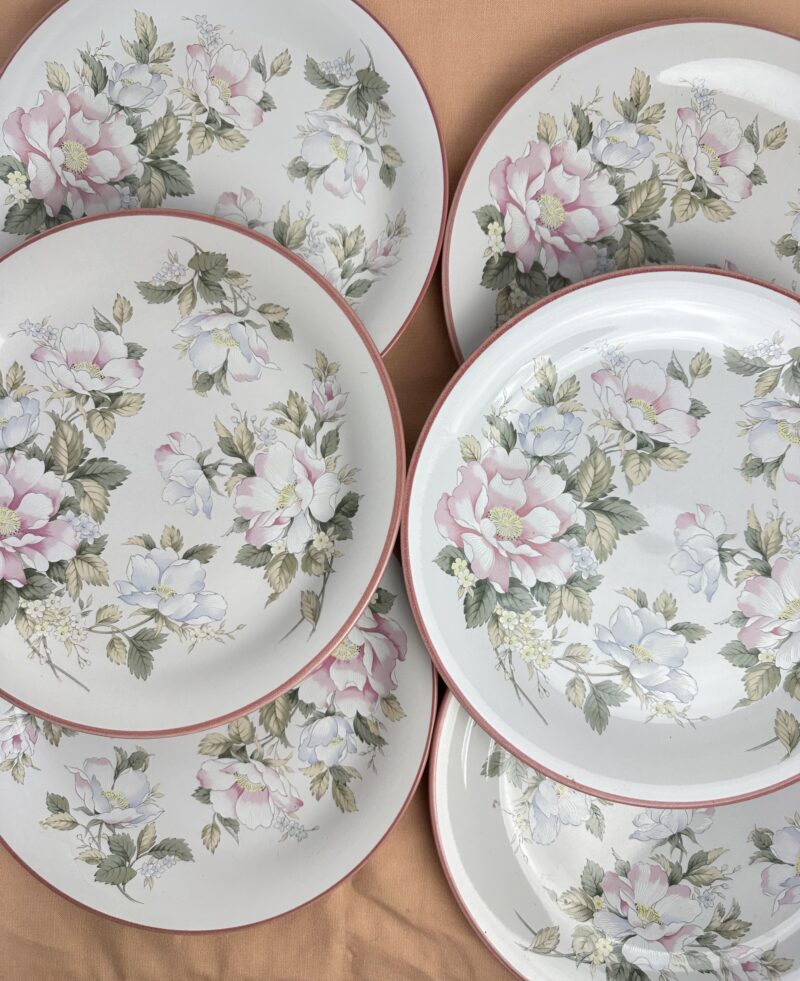 Lot 6 assiettes anciennes Millefleurs Japon