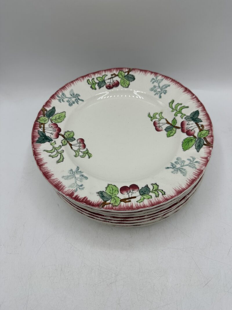 Lot de 11 assiettes Longwy Montmorency – Image 2