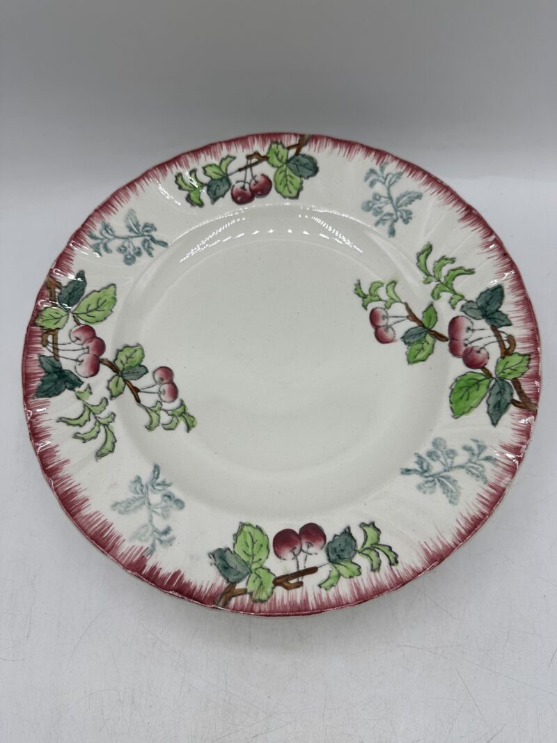 Lot de 11 assiettes Longwy Montmorency – Image 3