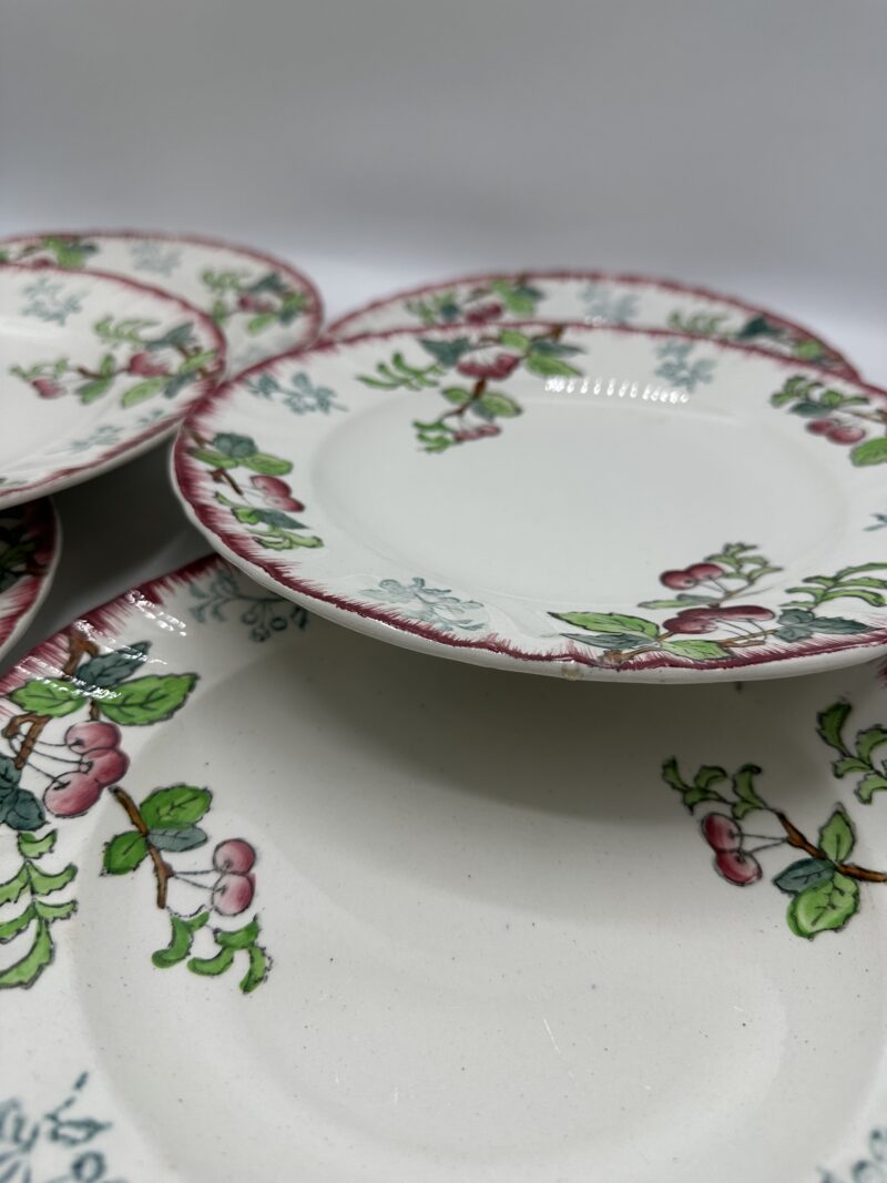 Lot de 11 assiettes Longwy Montmorency – Image 11