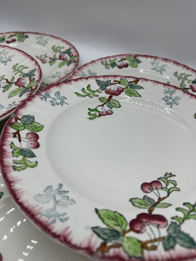 Lot de 11 assiettes Longwy Montmorency – Image 12