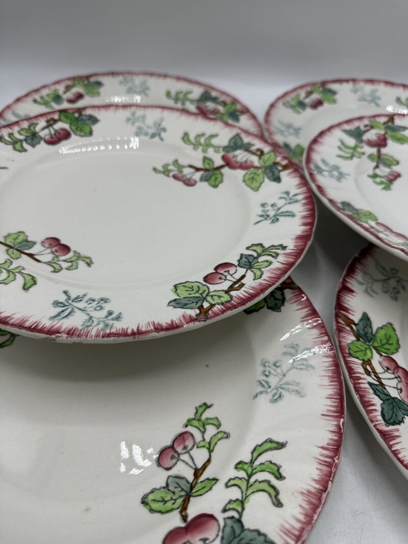 Lot de 11 assiettes Longwy Montmorency – Image 13