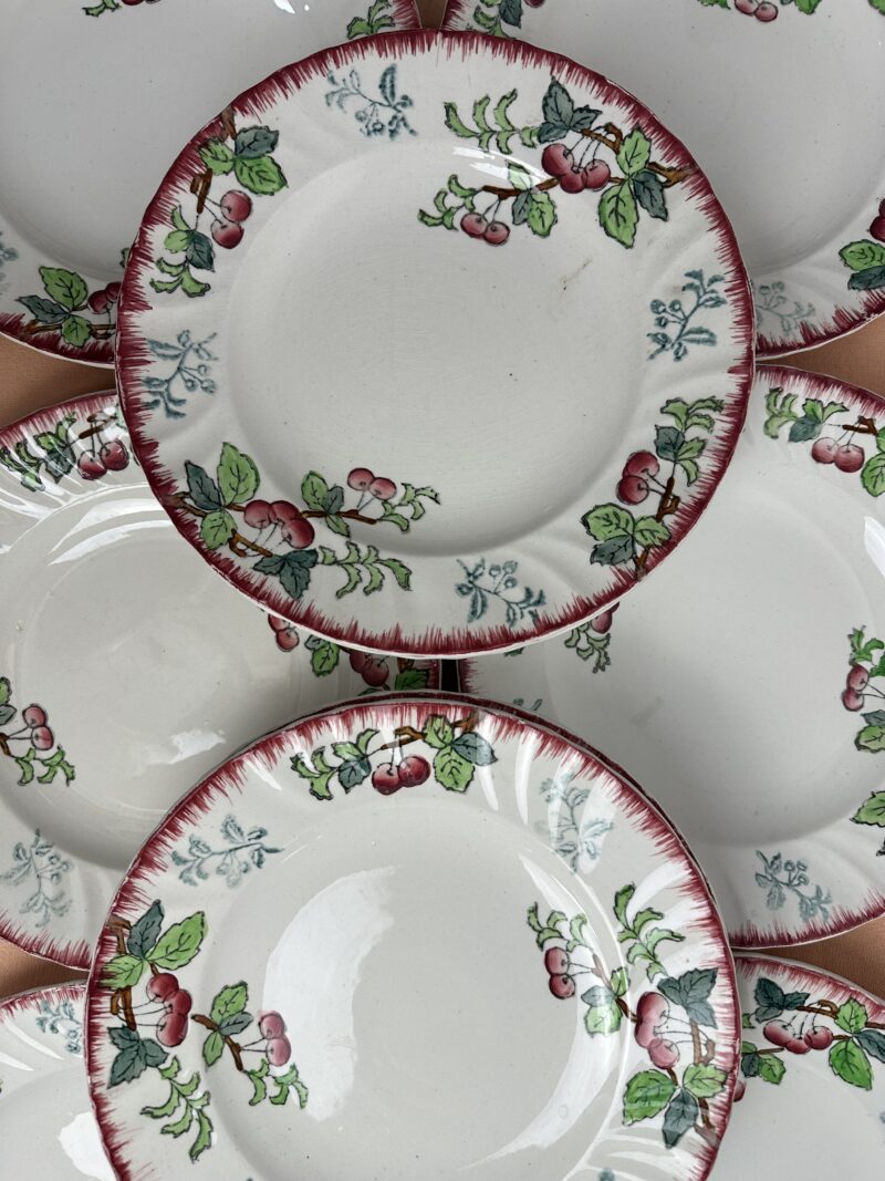 Lot de 11 assiettes Longwy Montmorency