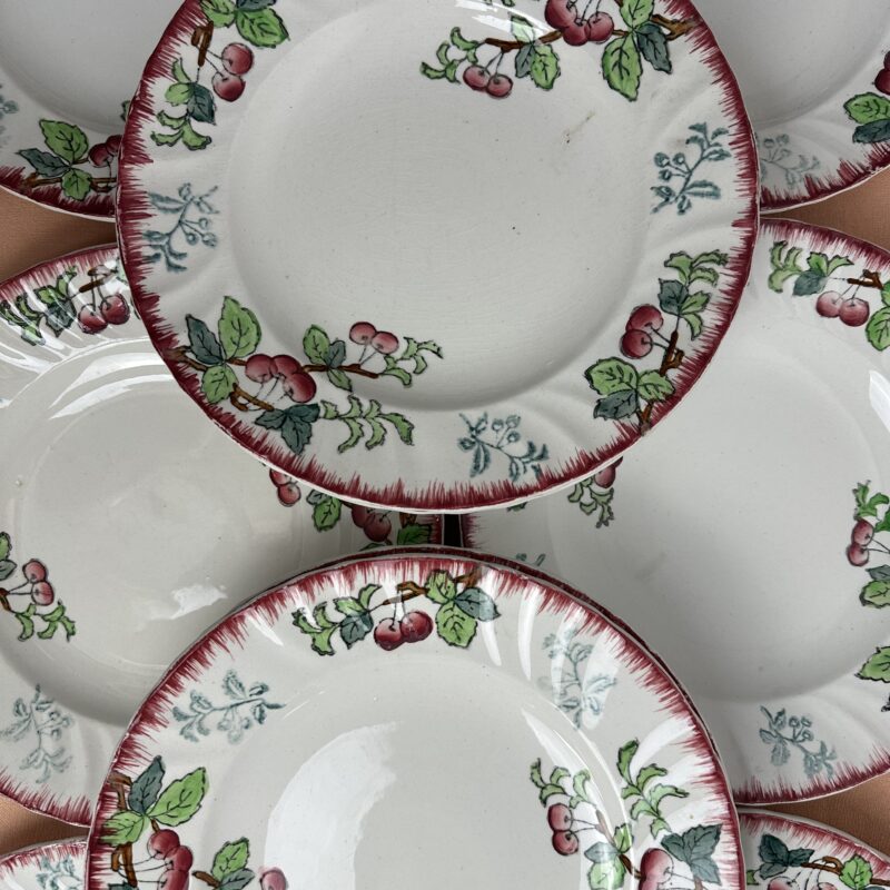 Lot de 11 assiettes Longwy Montmorency