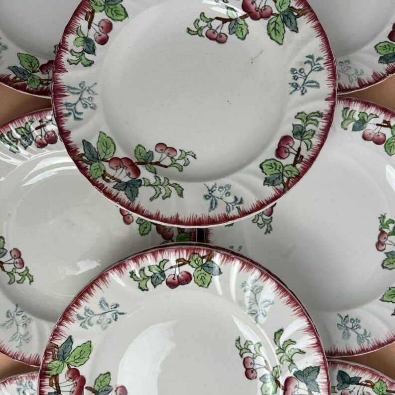 Lot de 10 assiettes Longwy Montmorency