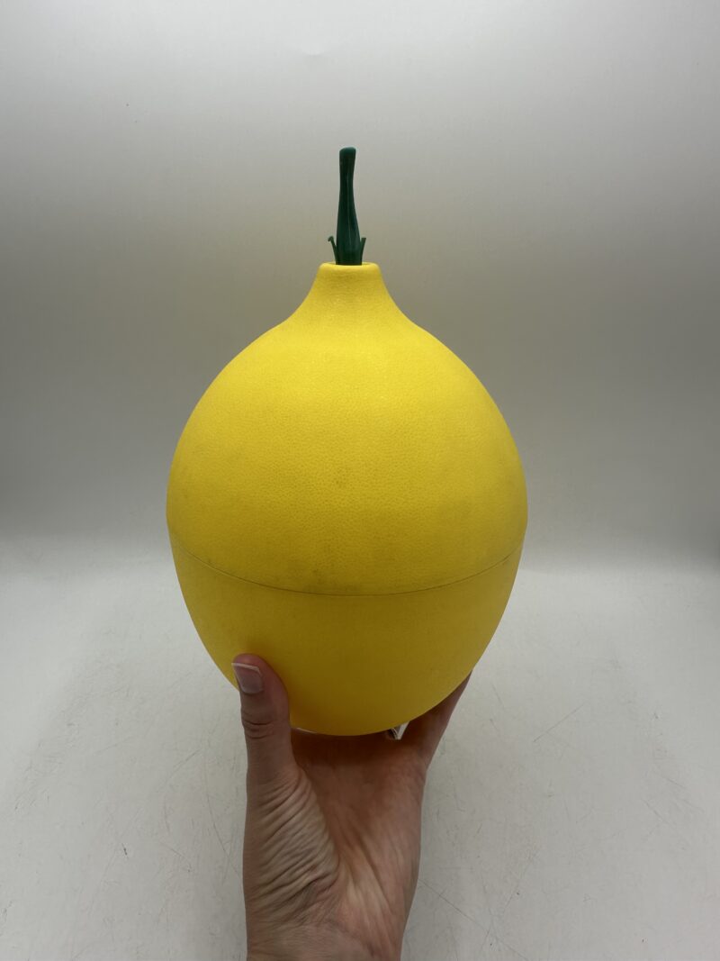 Bac à glaçons citron années 70 – Image 9