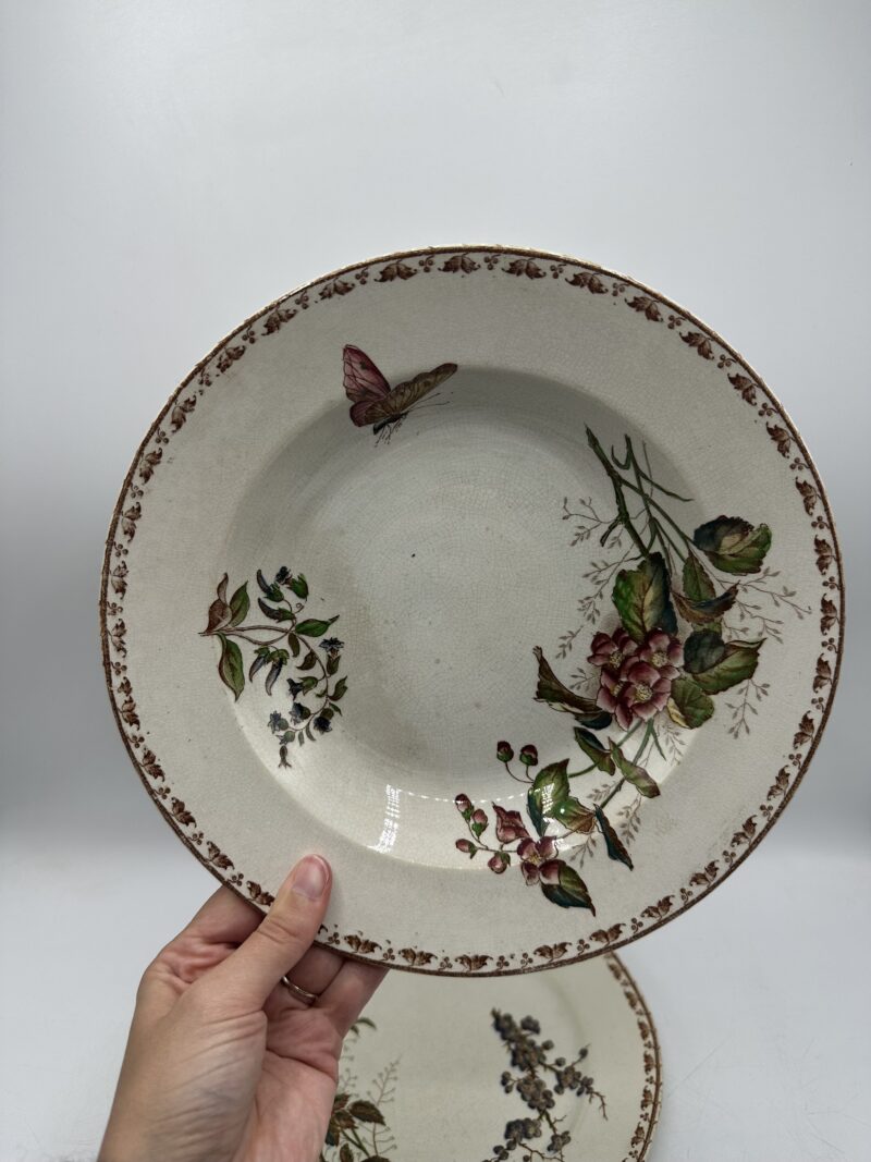 Duo d'assiettes Carmen Sarreguemines – Image 4