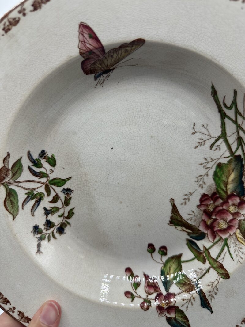 Duo d'assiettes Carmen Sarreguemines – Image 5
