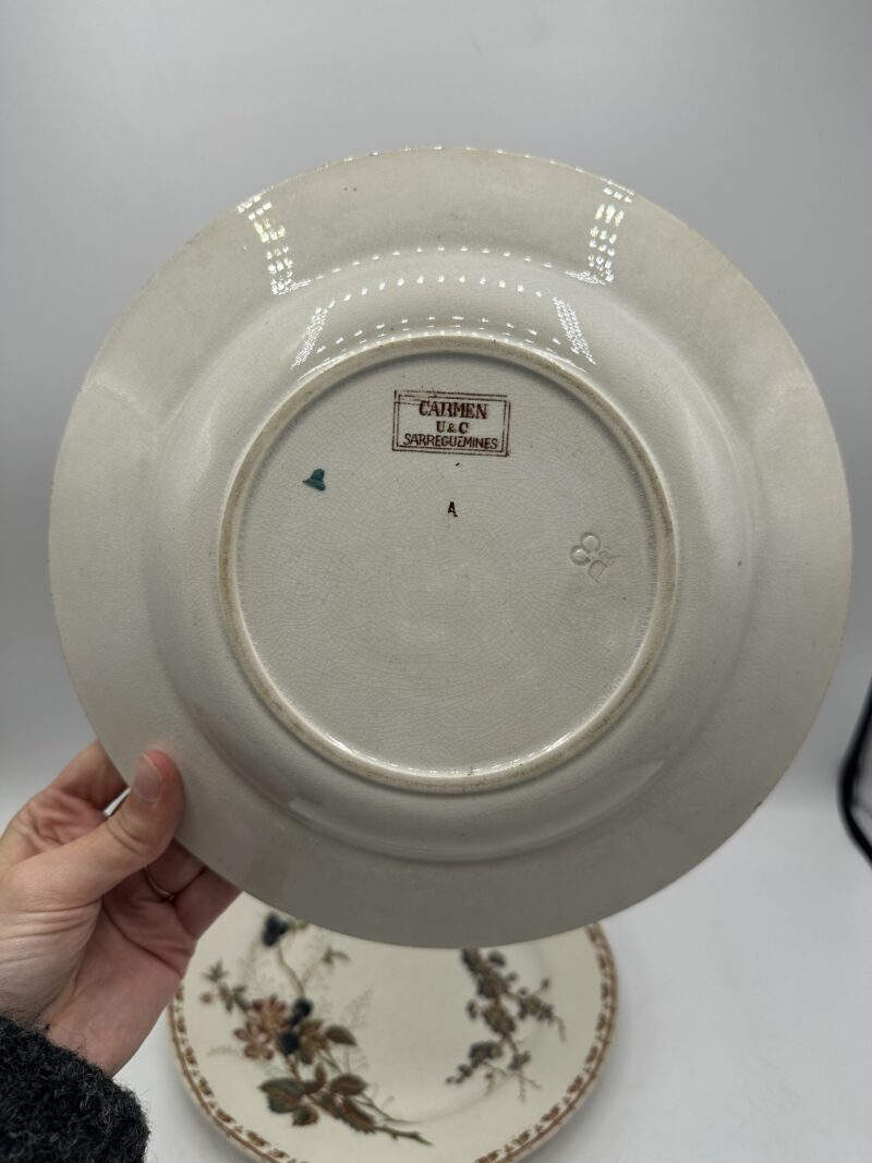 Duo d'assiettes Carmen Sarreguemines – Image 8