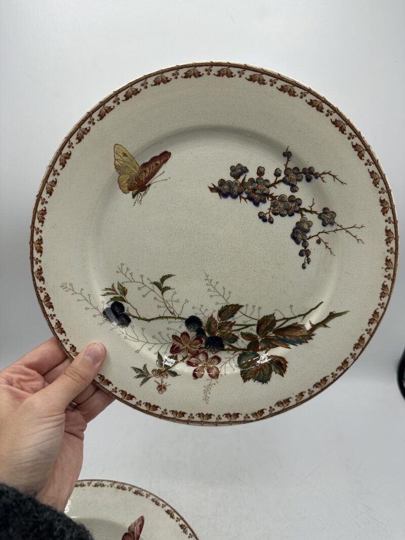 Duo d'assiettes Carmen Sarreguemines – Image 11