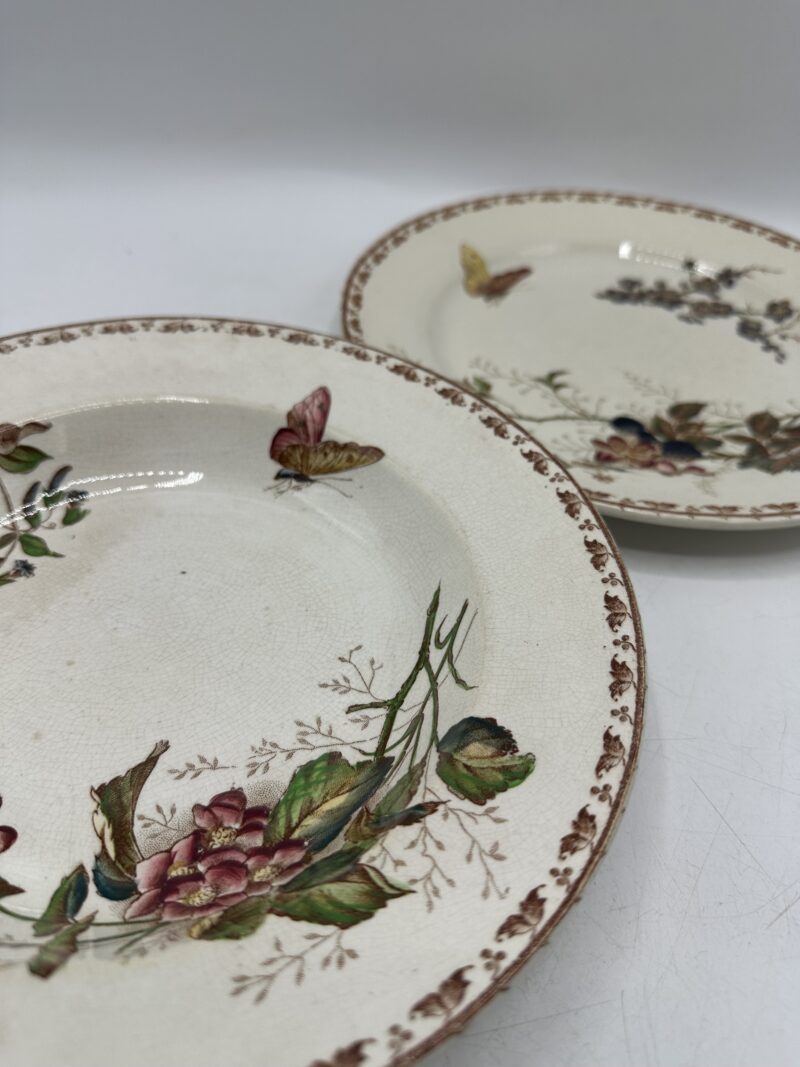 Duo d'assiettes Carmen Sarreguemines – Image 16