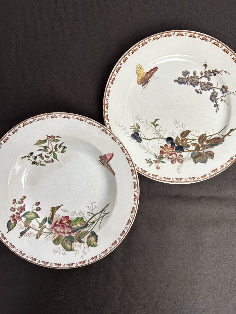 Duo d'assiettes Carmen Sarreguemines