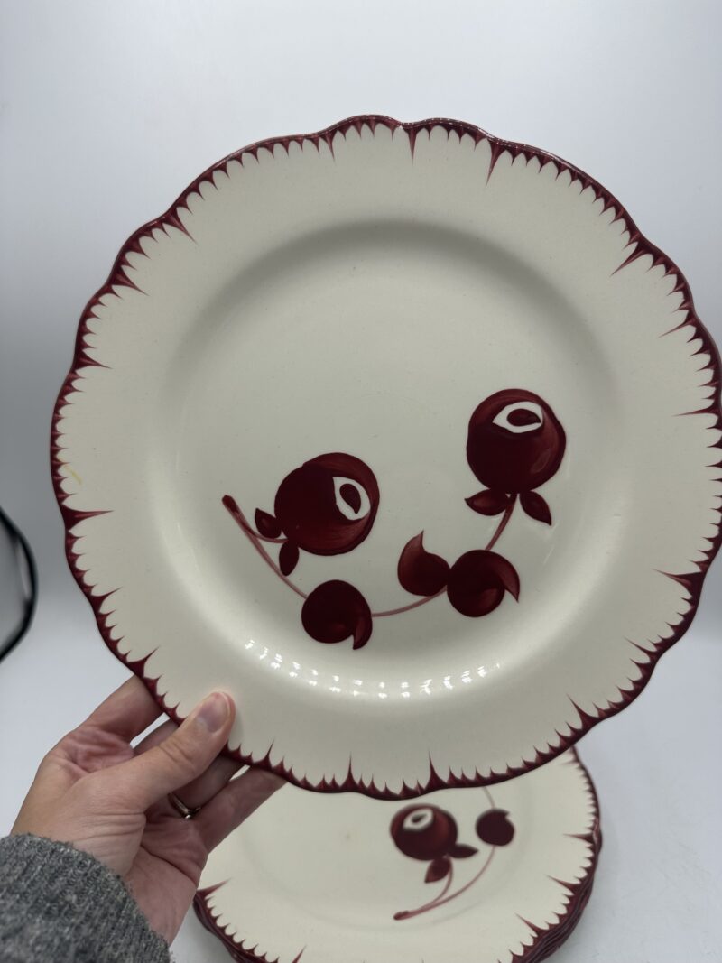 Assiettes Salins les Bains Mistral – Image 4
