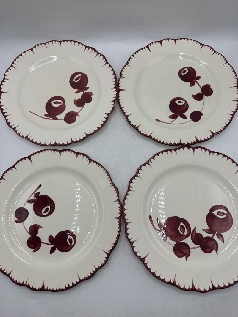 Assiettes Salins les Bains Mistral – Image 7